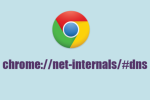 chrome //net-internals/#dns